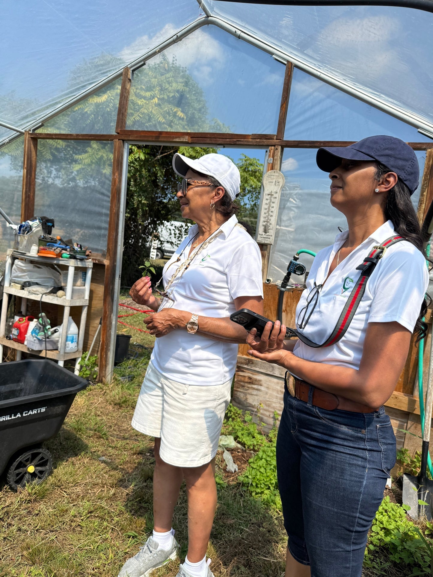 Two people standing in a green house, looking at the origin of ingredients for the baby food they produce. 